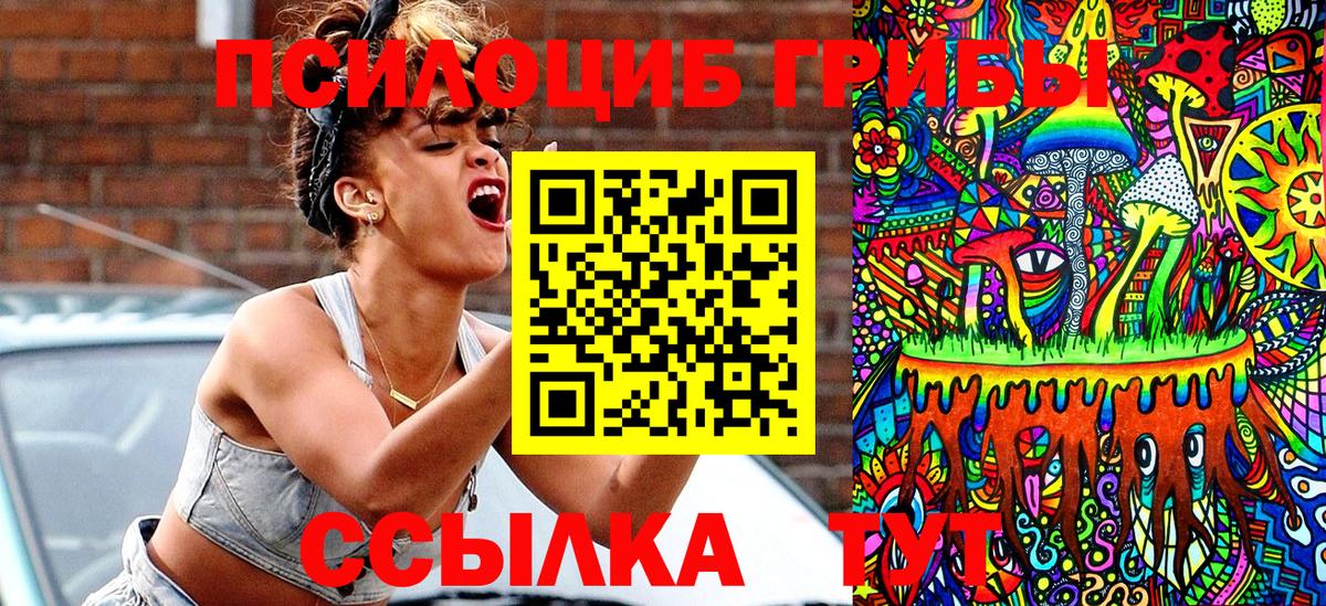Псилоцибиновые грибы Psilocybe Верхний Уфалей