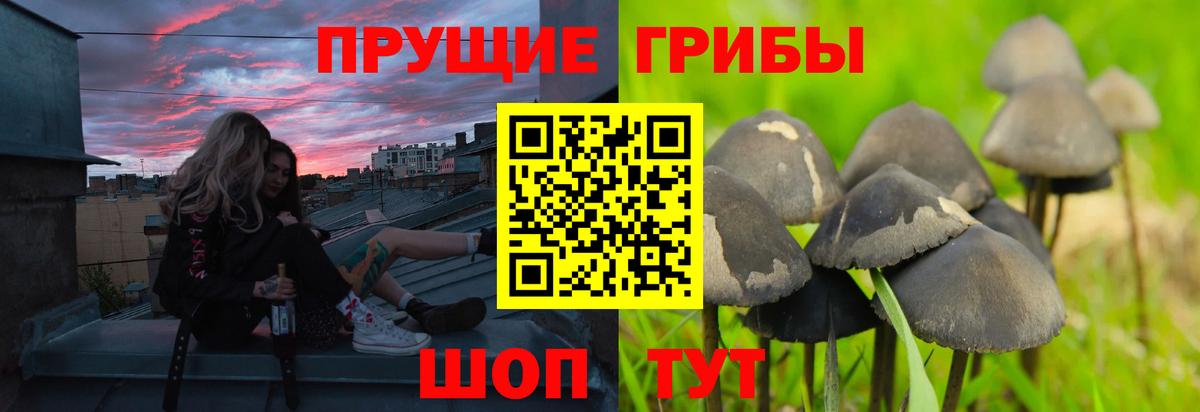 цены   Псилоцибиновые грибы мицелий  Вход с VPN  Верхний Уфалей 